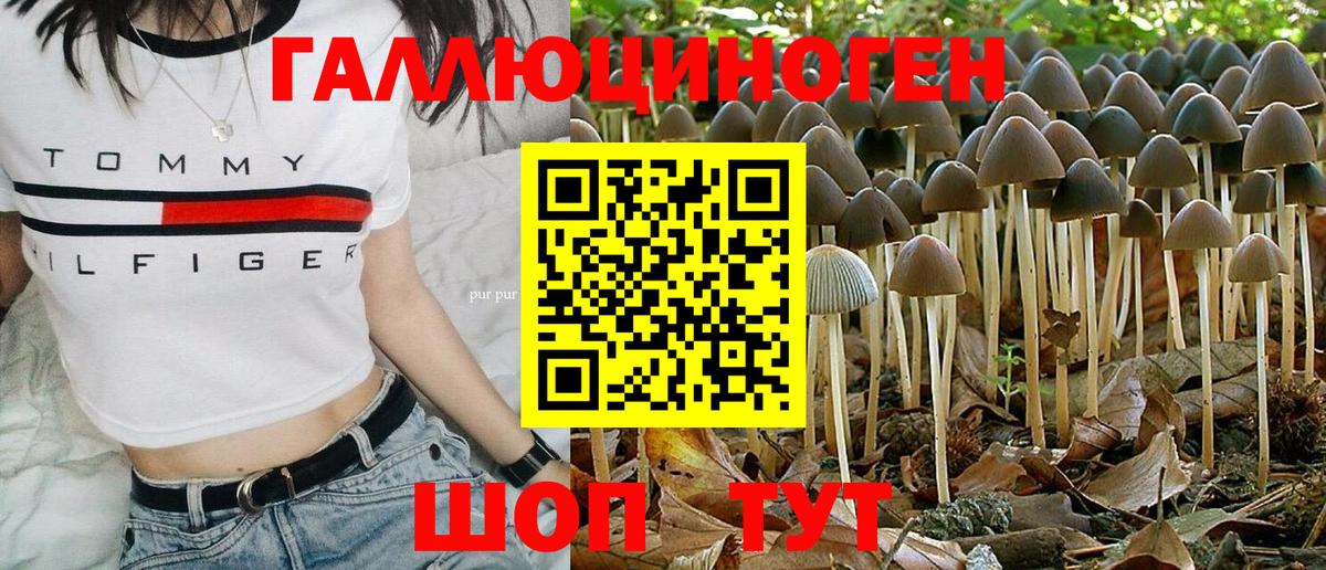 Галлюциногенные грибы Cubensis Новоалександровск