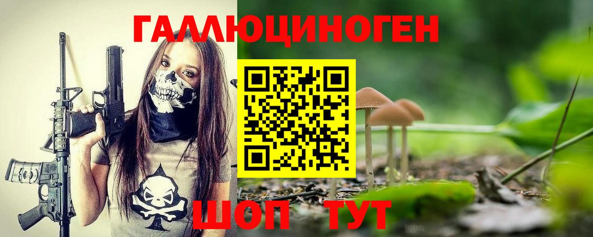 Псилоцибиновые грибы Psilocybe  Вход с VPN  Новоалександровск  Псилоцибиновые грибы мухоморы 